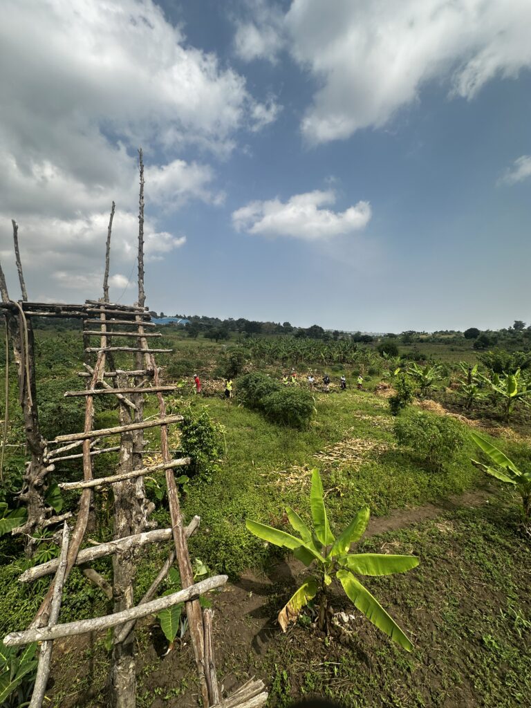 Cooperative agricultural labor in Kyangwali