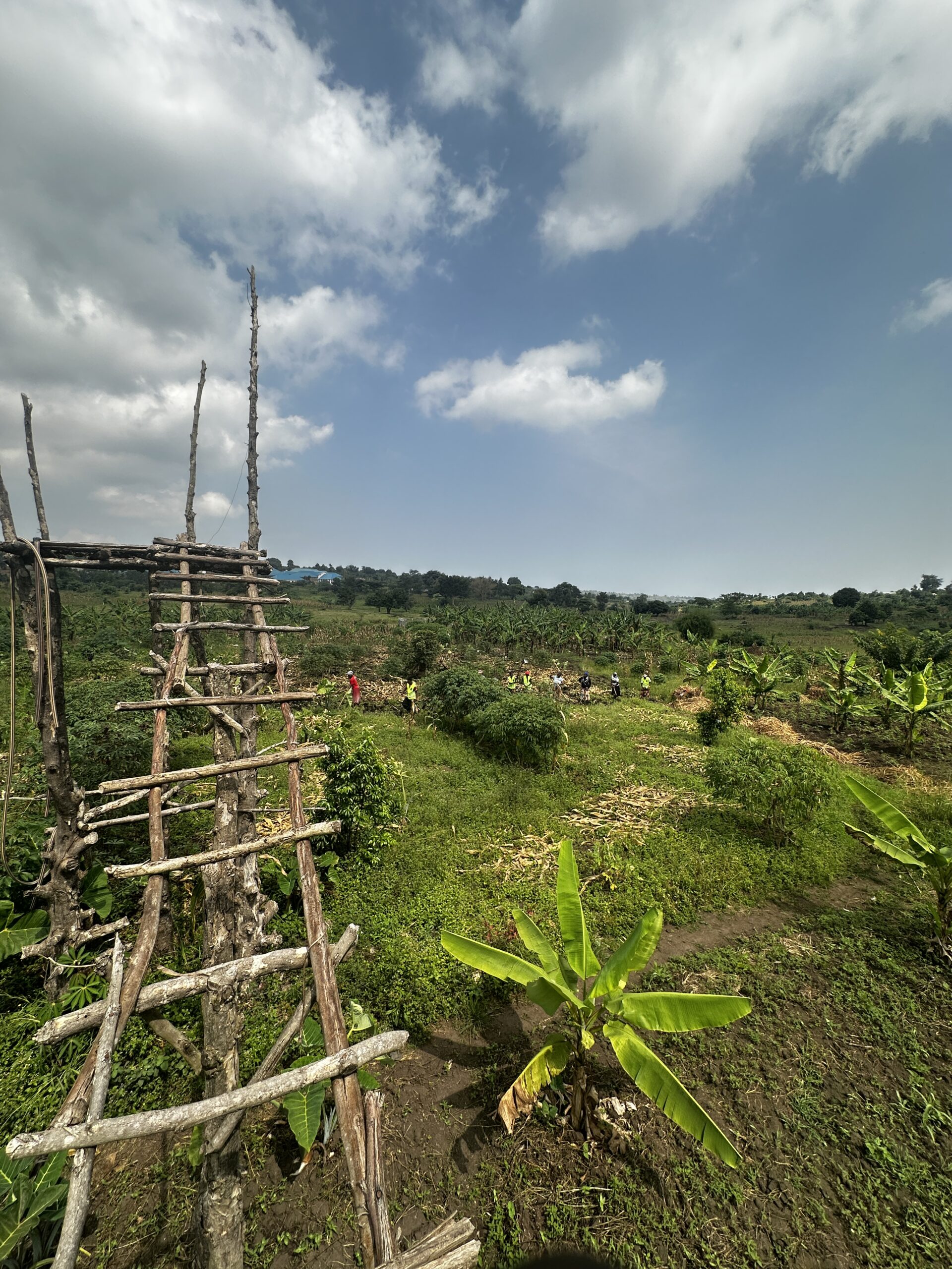 Cooperative Labor: Building Social Cohesion Through Agriculture