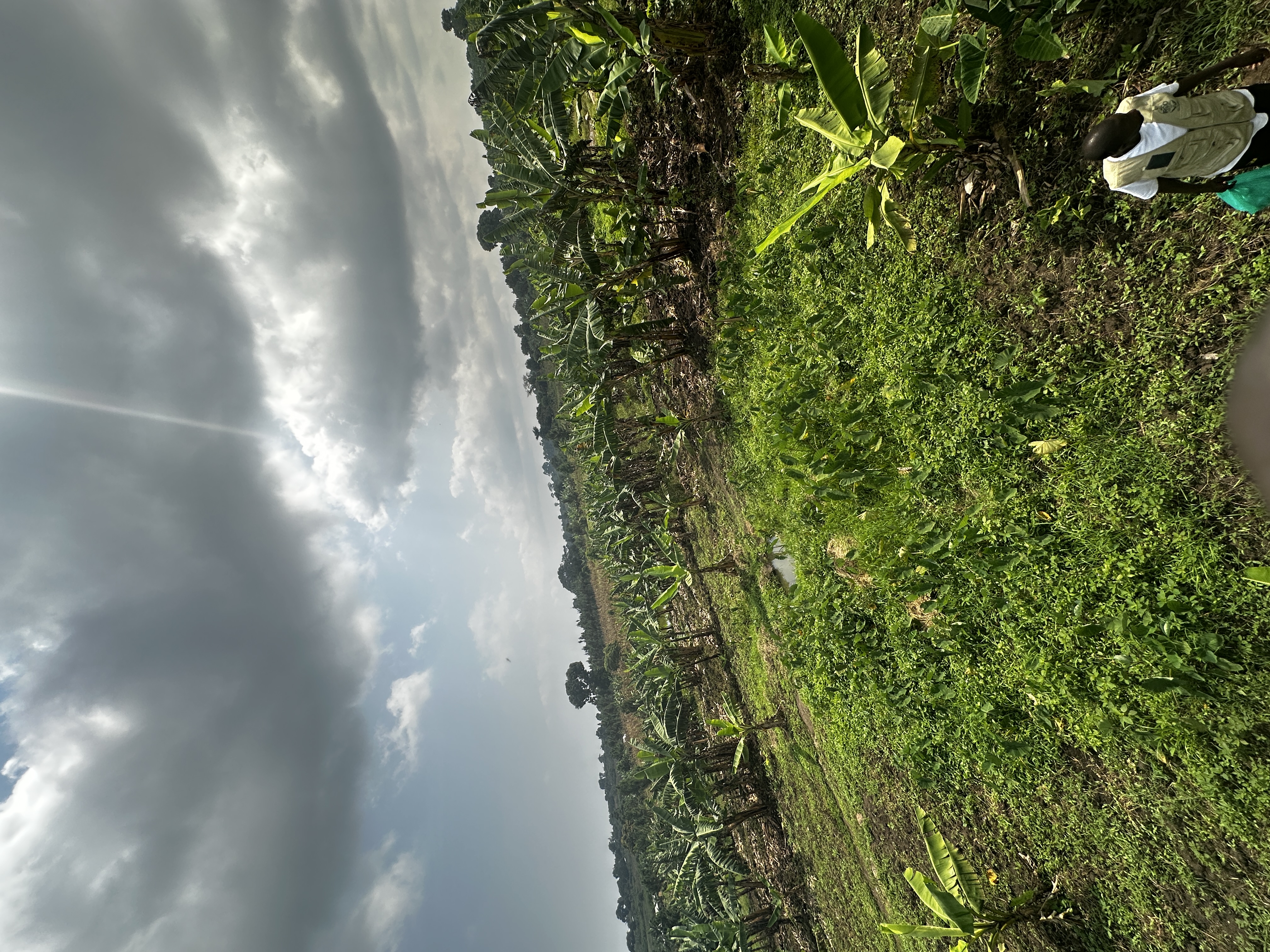 IGRAO Farm photo 6