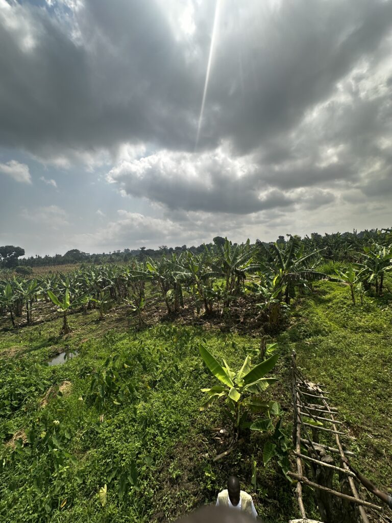 Women in agriculture in Kyangwali