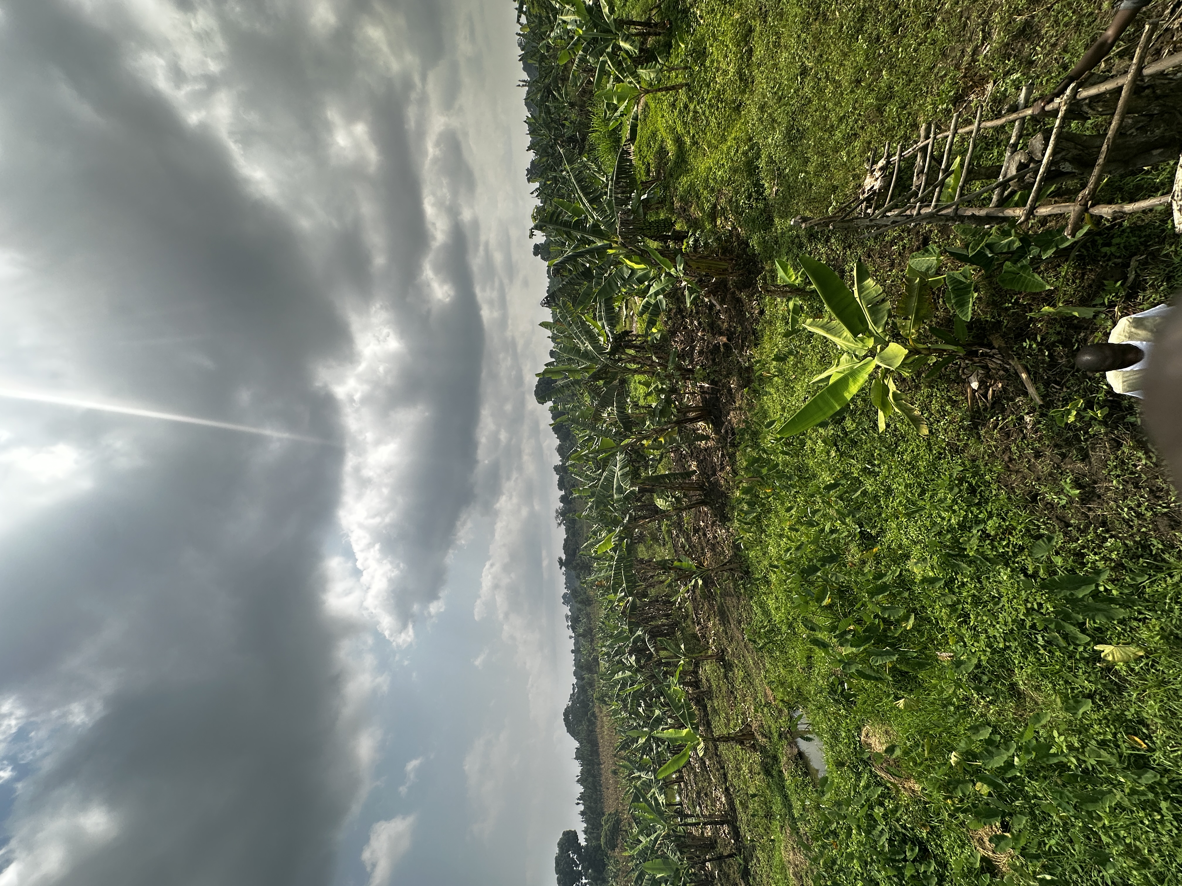 IGRAO Farm photo 5