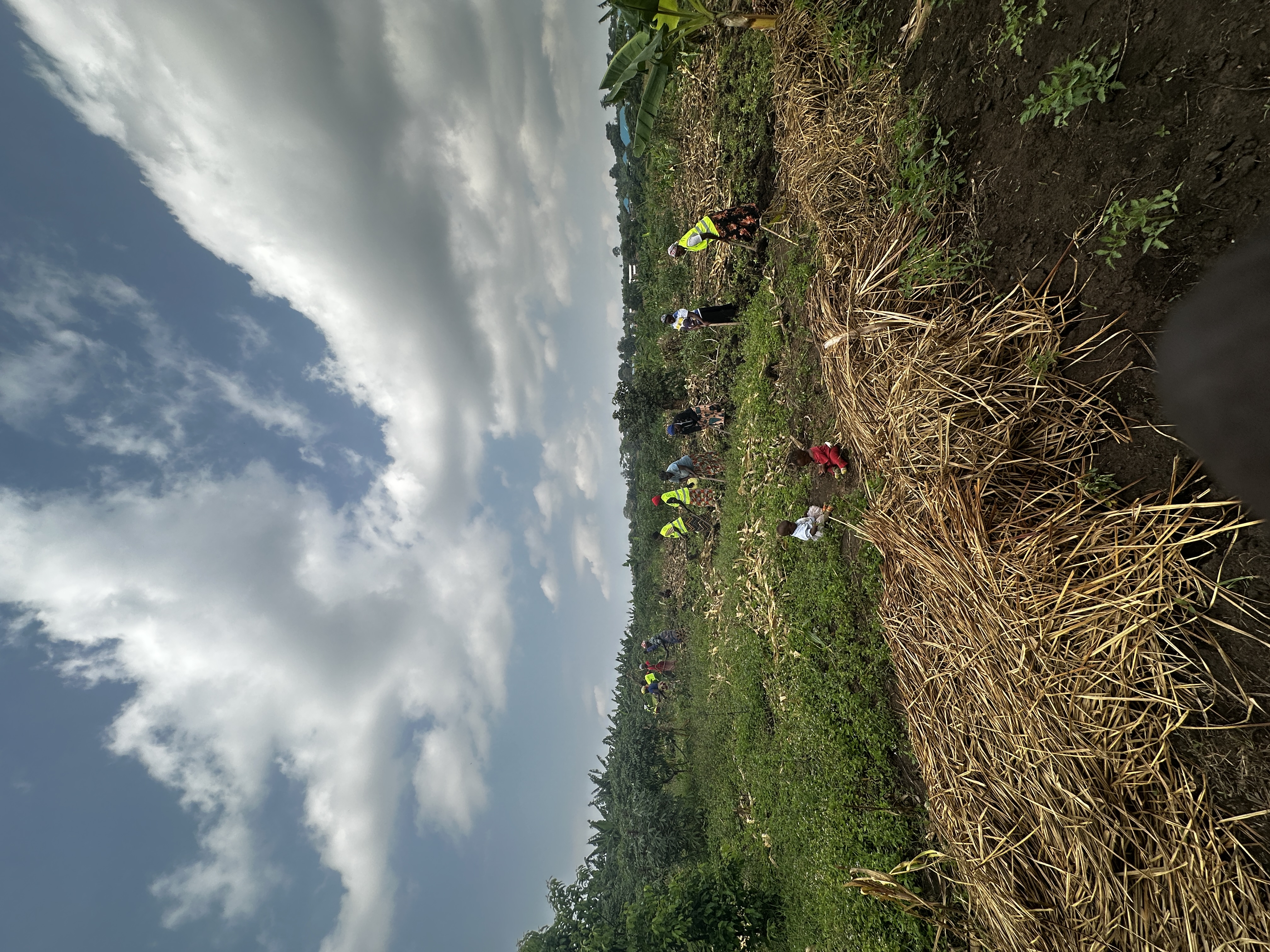 IGRAO Farm photo 4