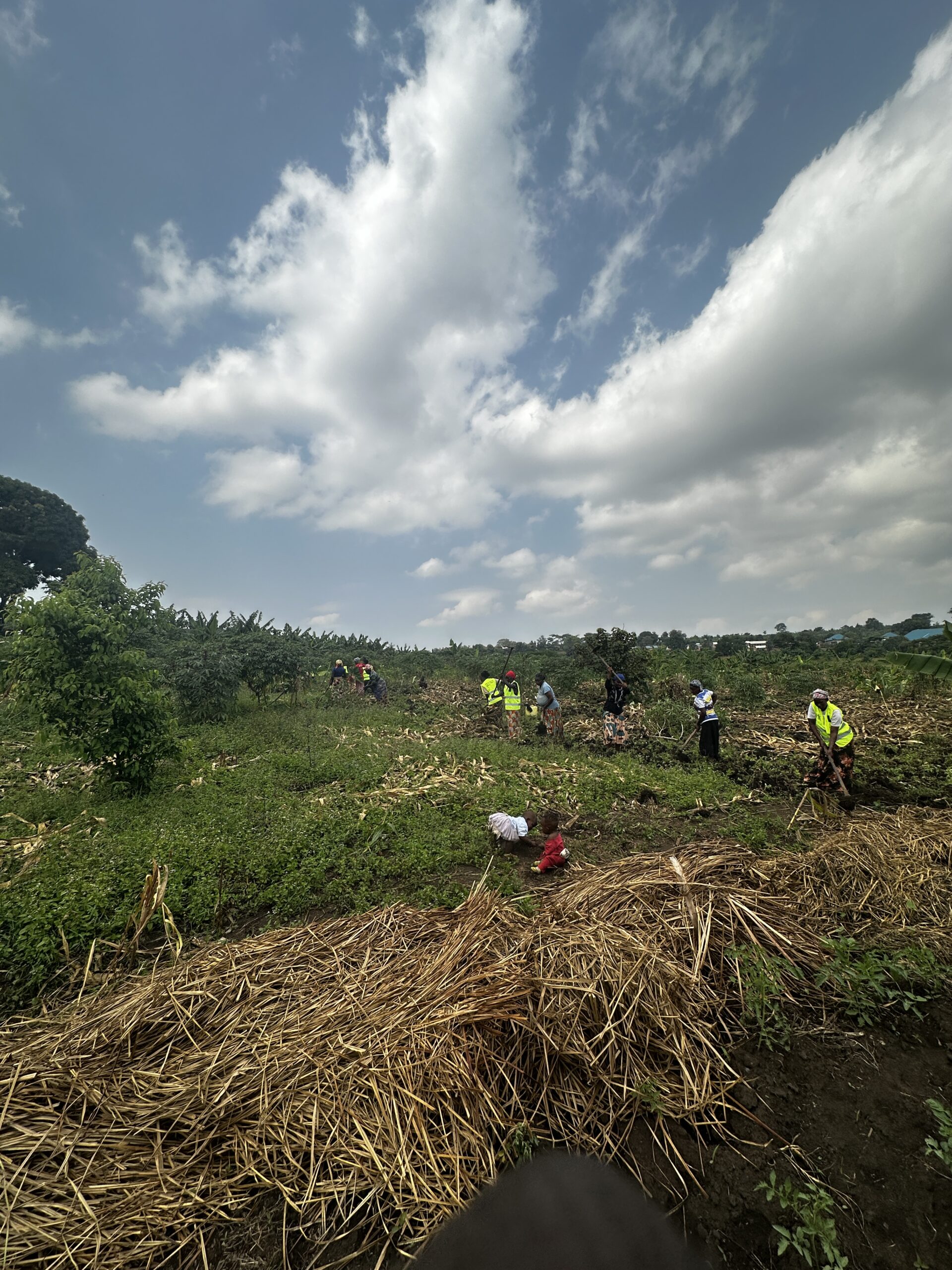From One Nursery Bed to a Thriving Community