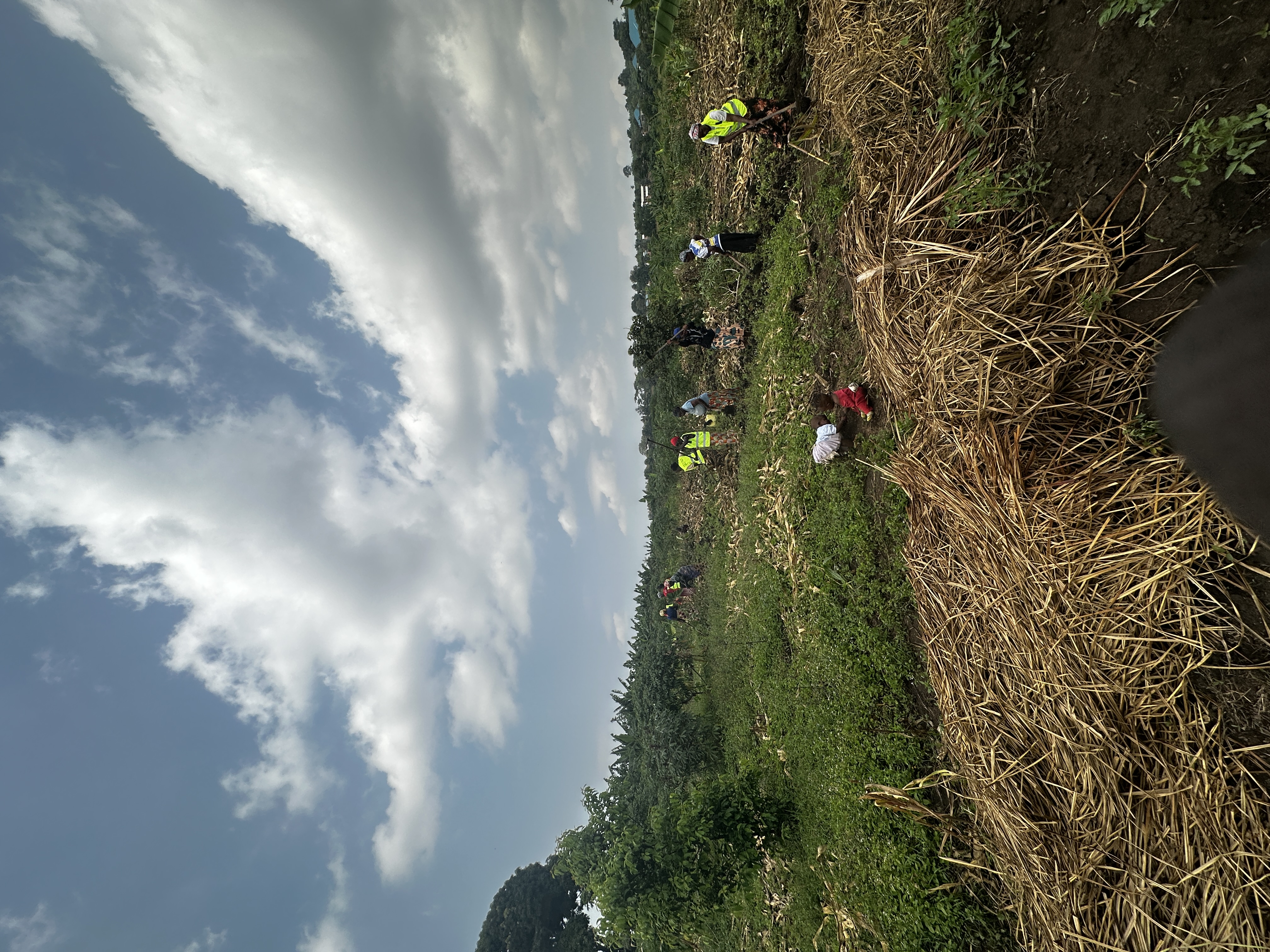 IGRAO Farm photo 3