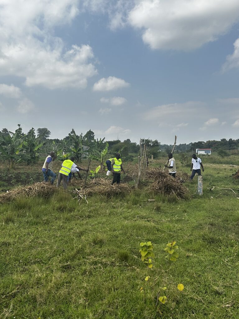 Inside IGRAO Livelihood Farm