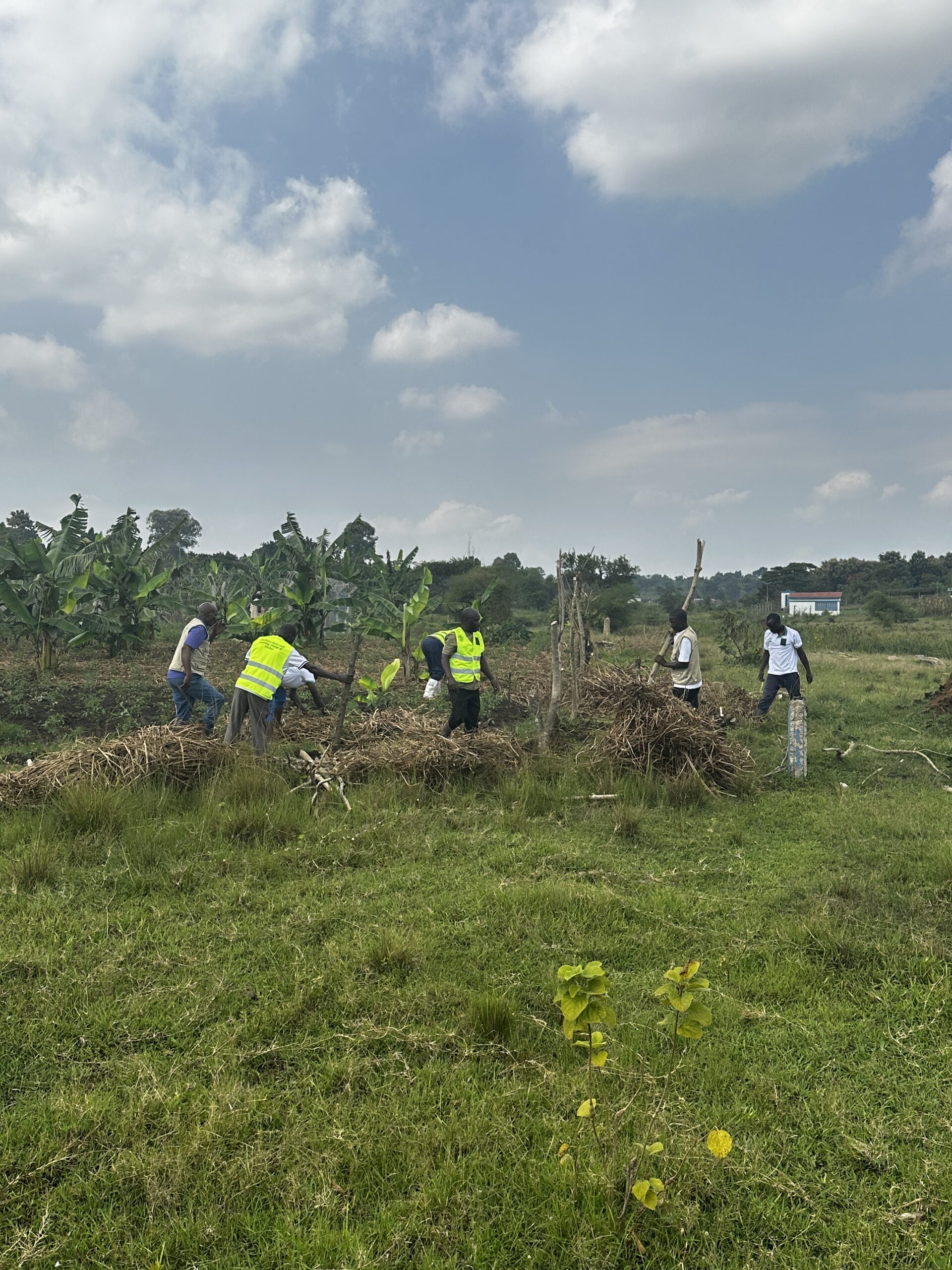 Scaling Sustainable Livelihoods: Inside the IGRAO Livelihood Farm
