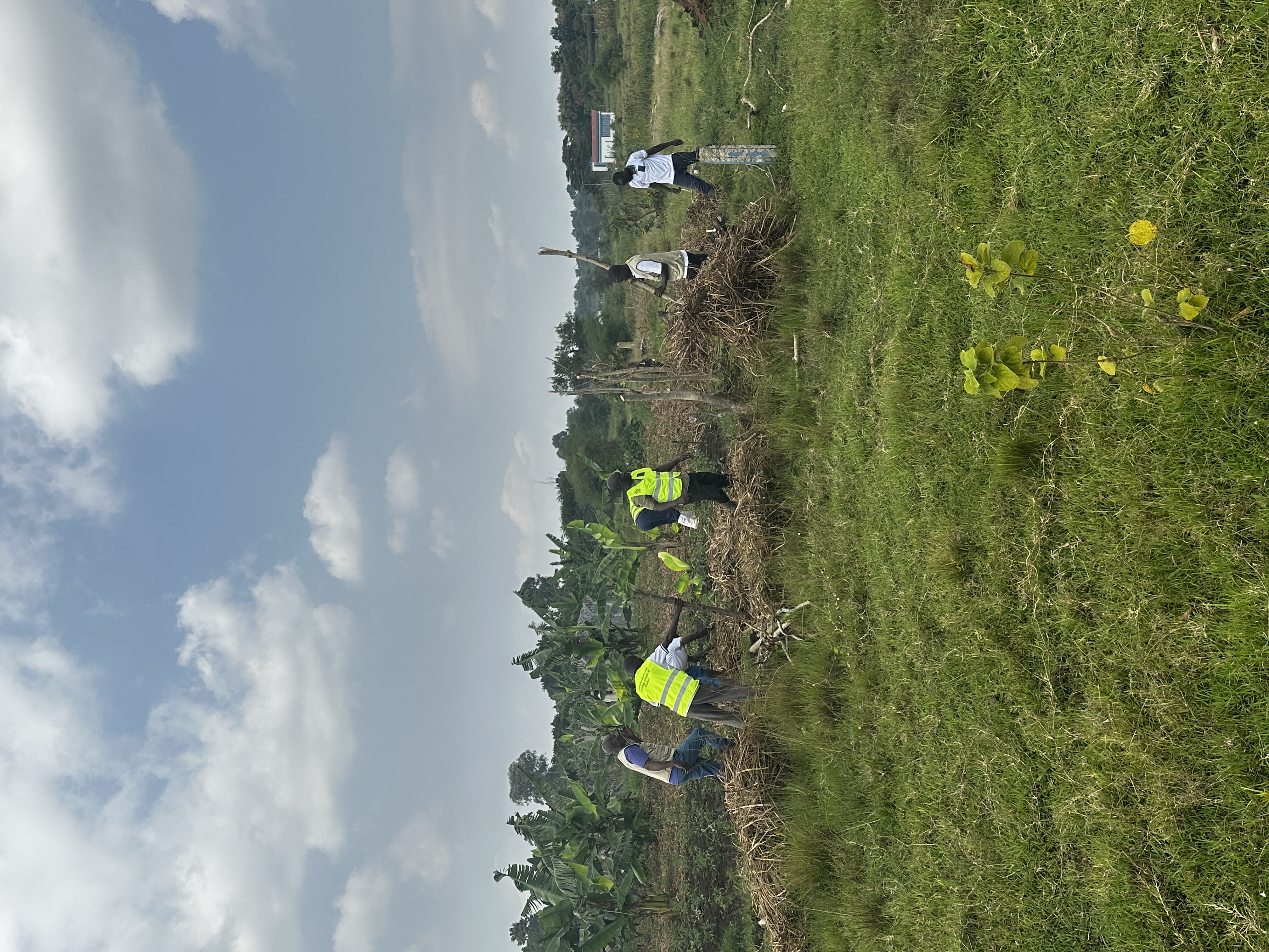 IGRAO Farm photo 2