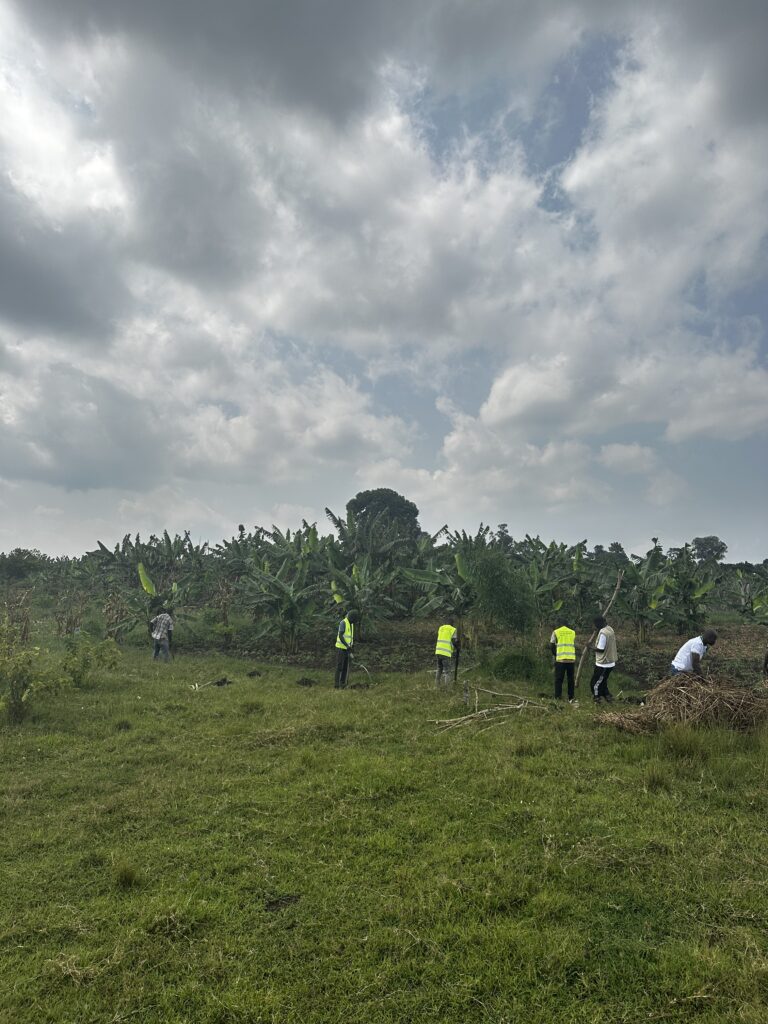Fish ponds in Kyangwali