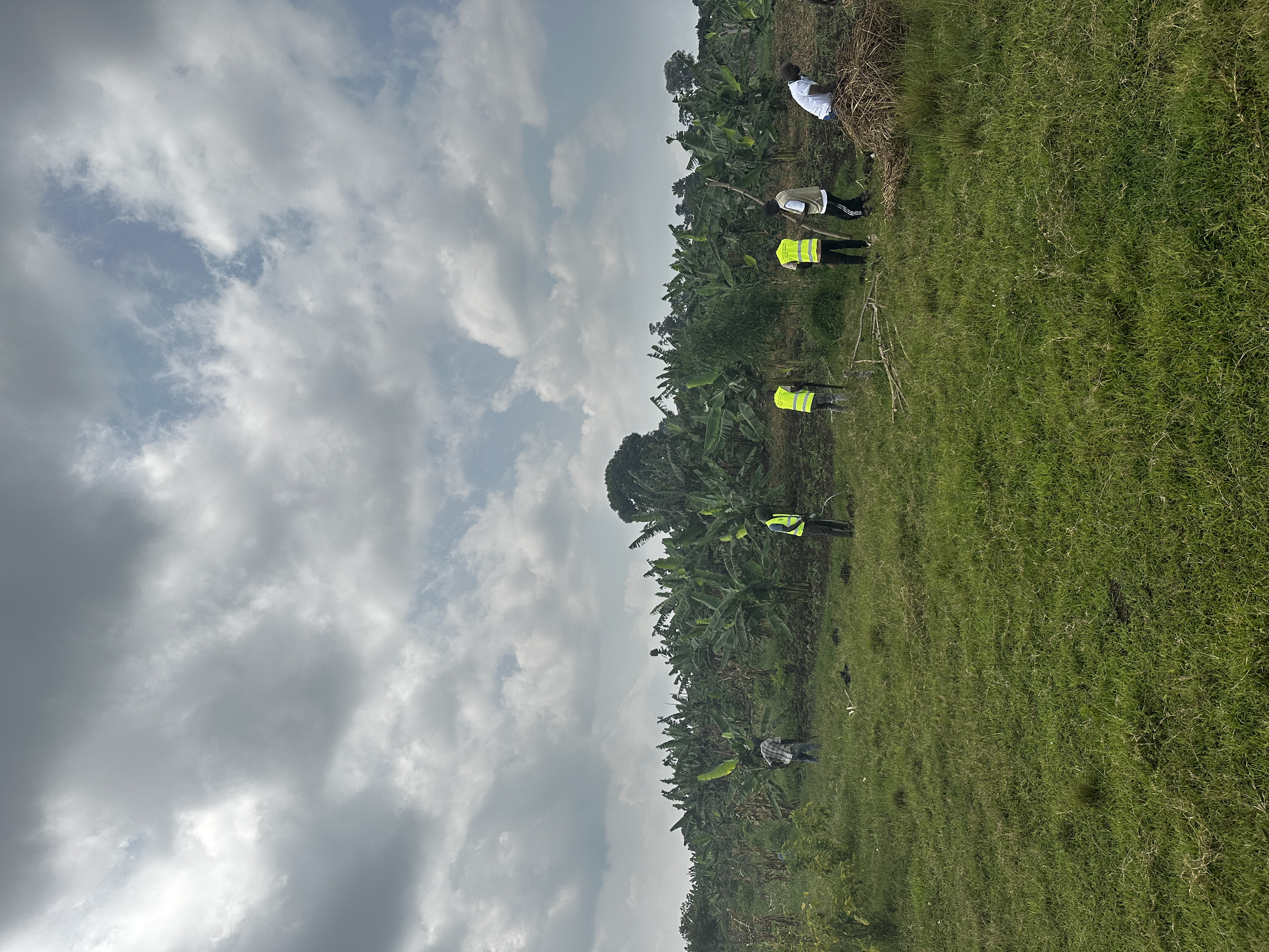 IGRAO Farm photo 1