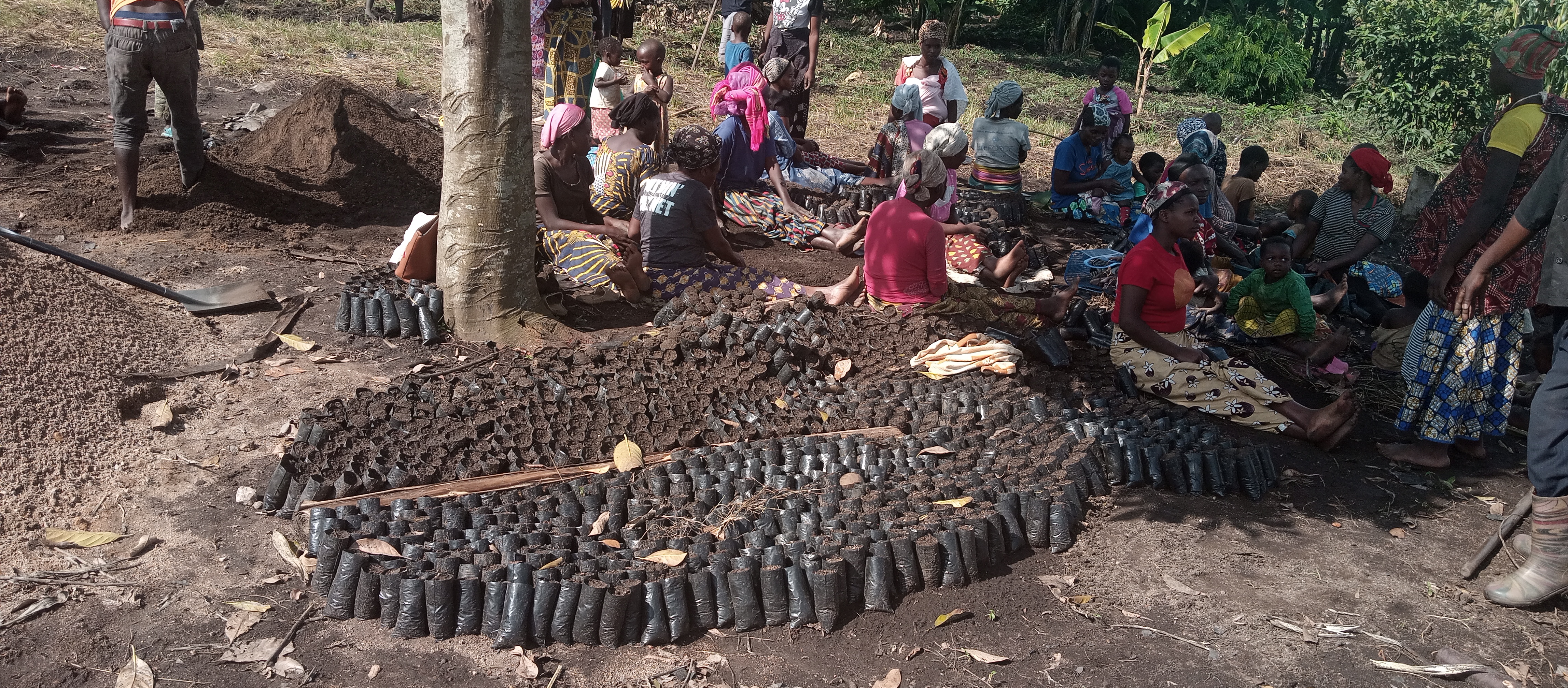 Shalom Bizimana and refugee youth in Kyebitaka tree nursery beds