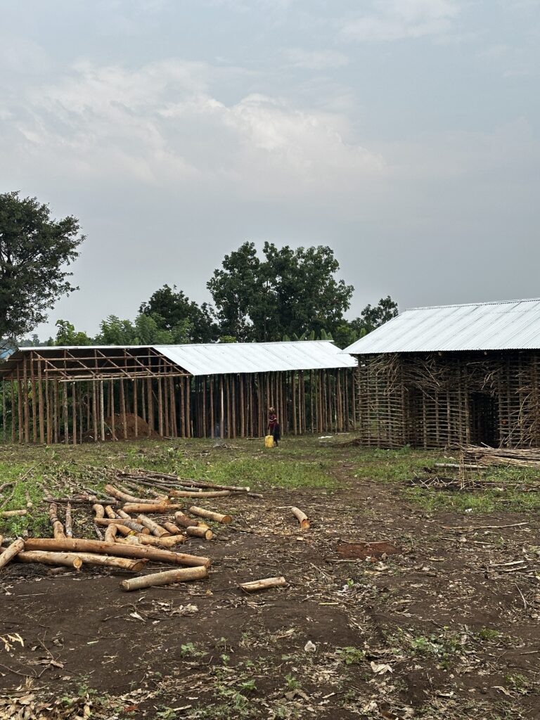 Construction Progress: Main Wall Completion