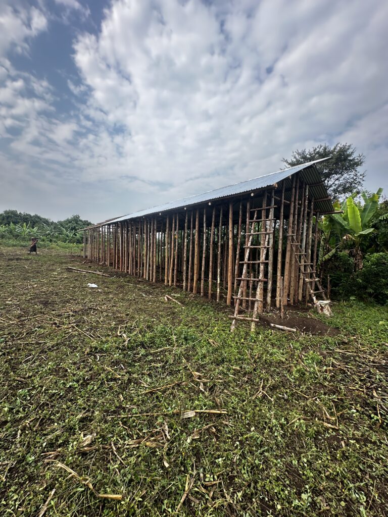 Construction Progress: Roofing Framework Preparation