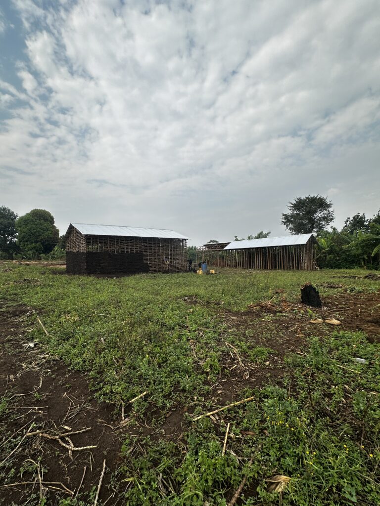 Construction Progress: Roof Structure Shell