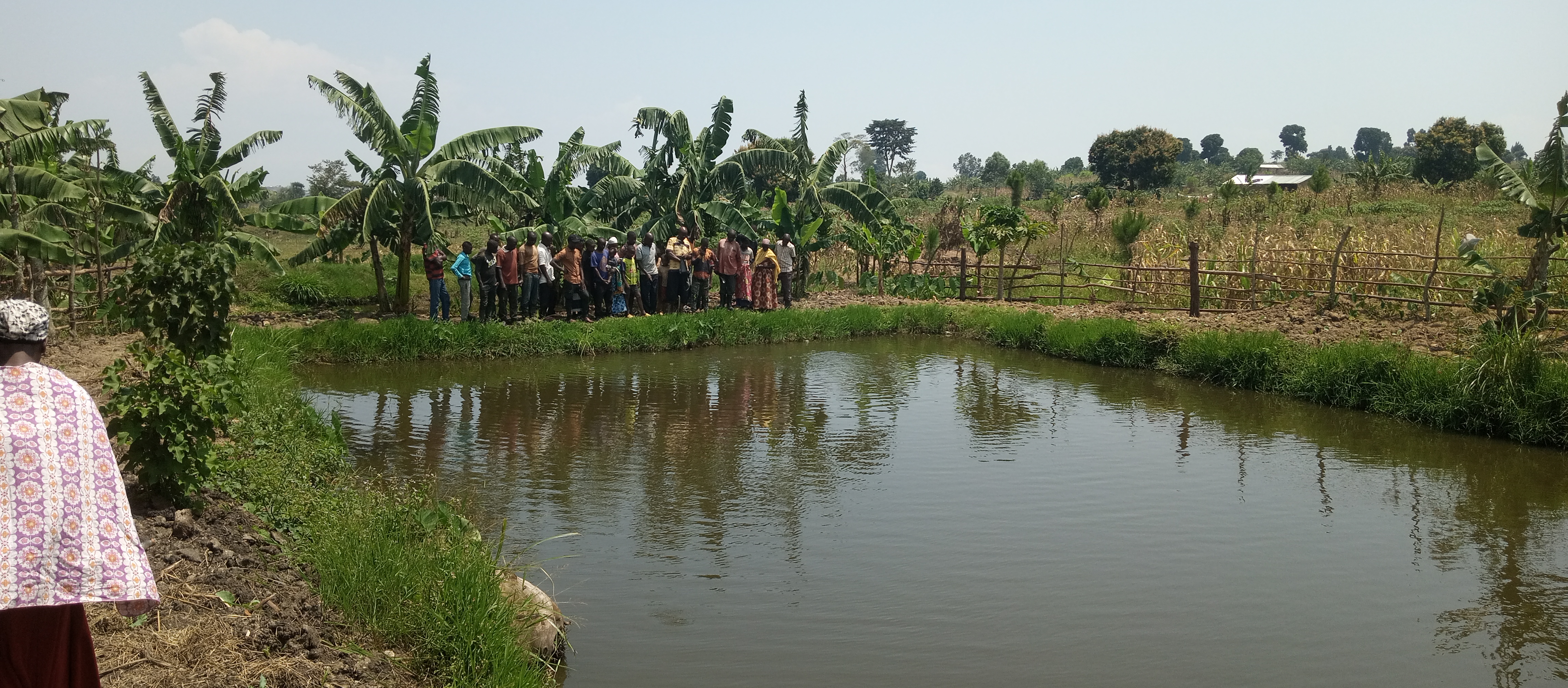 Active community fish pond