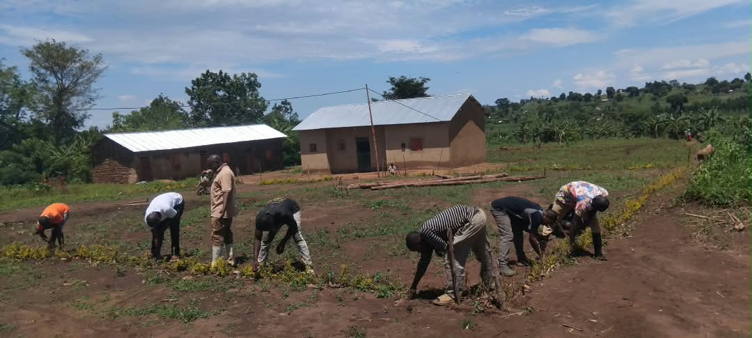 Volunteers clearing and leveling the ground