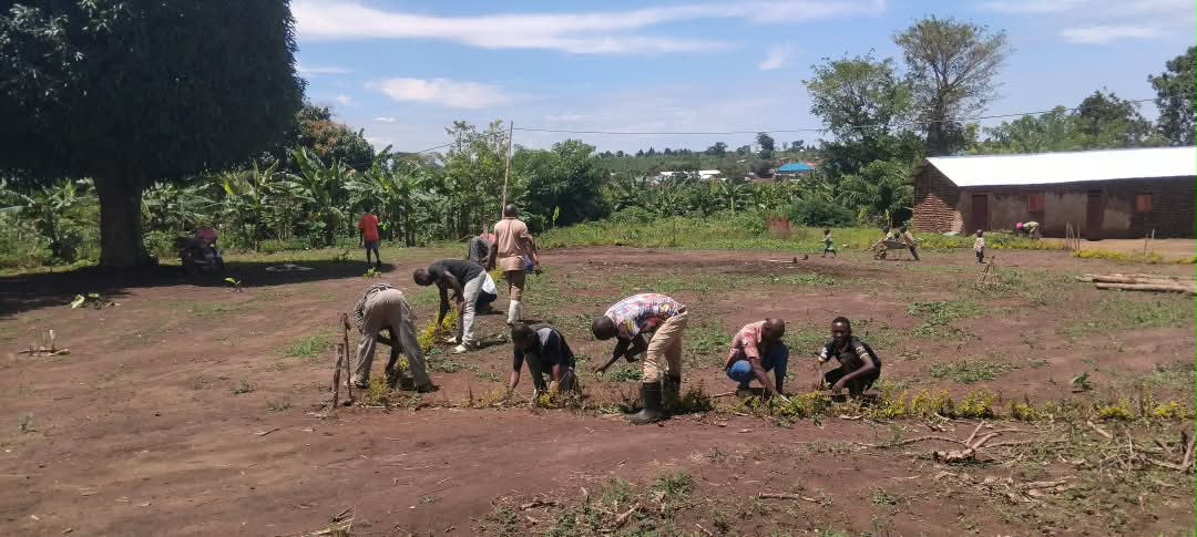 Planting flowers and beautifying the school environment